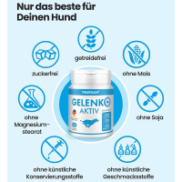 PAWSAN Gelenk Aktiv 100 Tabletten