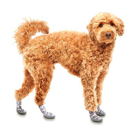 GOO-EEZ Booties Pfotenschutz ULTRAS in 2-er Pack CAMO-GRAU XXS