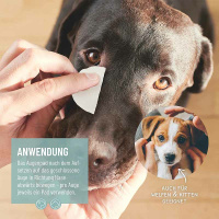 REAVET Augenpflege Pads 100 Stück