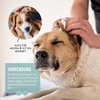 REAVET Ohrenpflege Pads 100 Stück