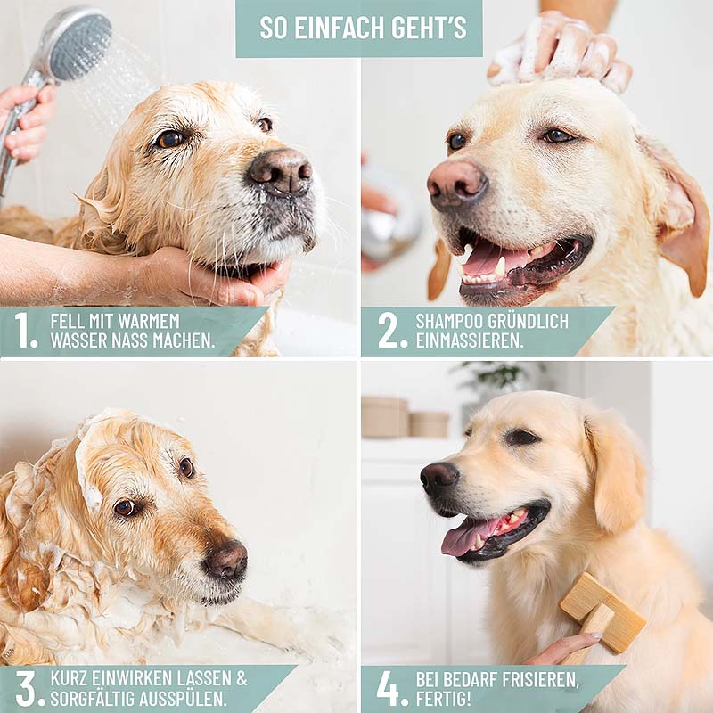 REAVET Juckfrei Shampoo 250ml