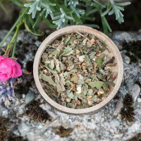 Kräutermischung Epilex unterstützt das...