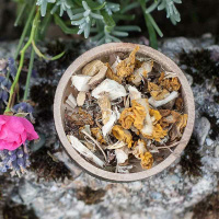 Kräutermischung Luftikus unterstützend auf die natürliche Atemwegsfunktion 250g