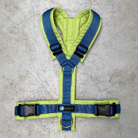 AnnyX Brustgeschirr Hundegeschirr Fun in Vergissmeinnicht XXS Steg lang 19,5cm