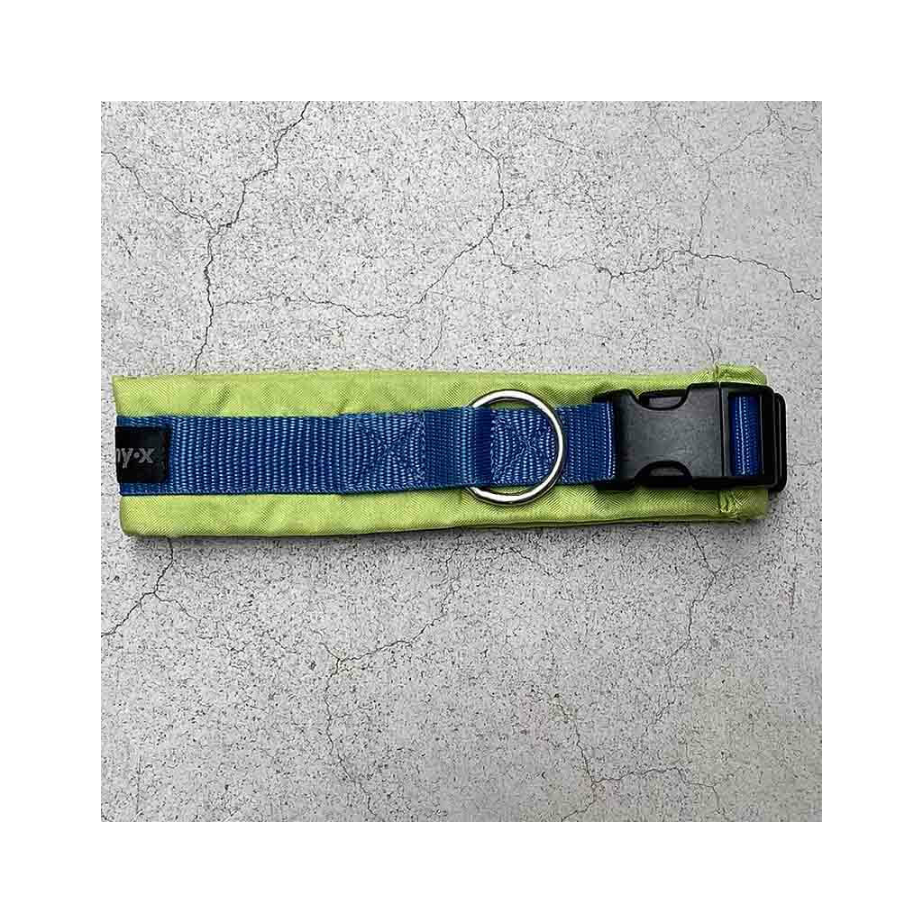 AnnyX Steck Halsband Fun in Vergissmeinnicht, 24,50