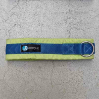 AnnyX Steck Halsband Fun in Vergissmeinnicht