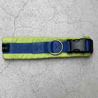 AnnyX Steck Halsband Fun in Vergissmeinnicht 5