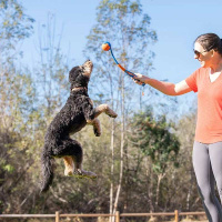 Chuckit® Chuckit! Fetch & Fold Launcher Ballschleuder Mini