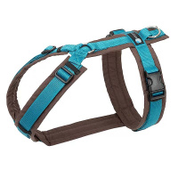 AnnyX Brustgeschirr Hundegeschirr Fun braun-petrol XS Steg kurz 16,5