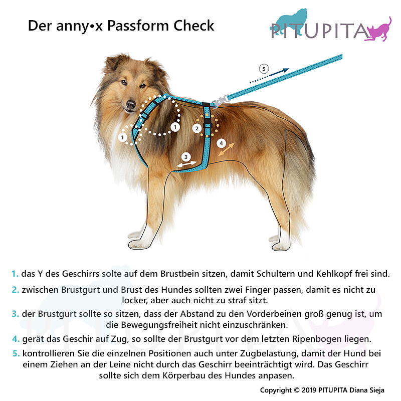 AnnyX Brustgeschirr Hundegeschirr Fun oliv-hellgrün L