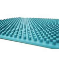 FitPAWS K9 FITMAT 60x30cm