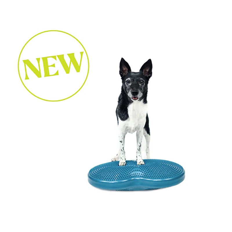 FitPAWS Duo Disc 60x33x7cm
