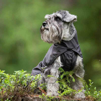 Pomppa Kuori Regenmantel 28 Graphite