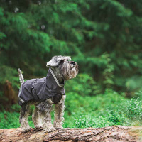 Pomppa Kuori Regenmantel 65 Graphite