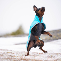 Pomppa Sportti Softshell Regenmantel Arctic 65