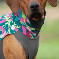 Pomppa Jumppa Fleece Pullover JumppaPomppa Trail 48