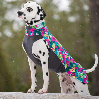 Pomppa Jumppa Fleece Pullover JumppaPomppa Trail 65