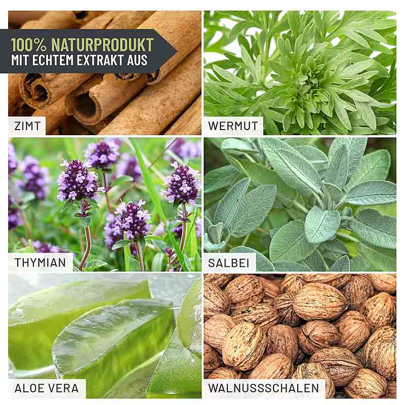REAVET Wormwood Mix Liquid für Hunde