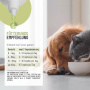 REAVET Wormwood Mix Liquid für Hunde