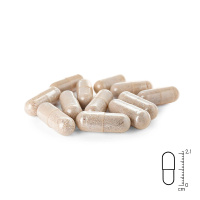 REAVET Grünlippmuschel Kapseln 100 Stk.