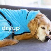DryUp Trocken Cape Hundebademantel STANDARD Cyan-hellblau L 65cm
