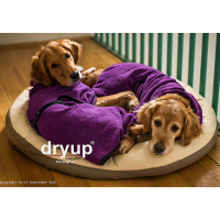 DryUp Trocken Cape Hundebademantel STANDARD Bilberry-lila violett M 60cm