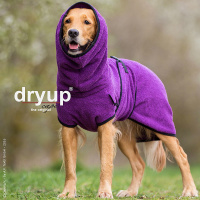 DryUp Trocken Cape Hundebademantel STANDARD Bilberry-lila violett L 65cm