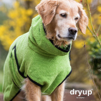DryUp Trocken Cape Hundebademantel STANDARD Kiwi-grün S 56cm