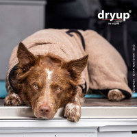 DryUp Trocken Cape Hundebademantel STANDARD Coffee-braun M 60cm