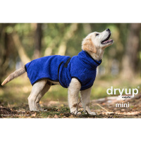 DryUp Trocken Cape Hundebademantel MINI für kleine Hunde 35cm Blueberry-blau