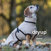 DryUp Trocken Cape Hundebademantel MINI für kleine Hunde 40cm Sand-beige
