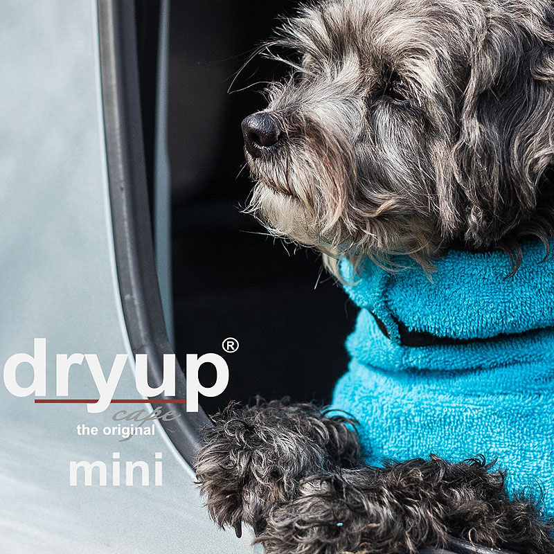 DryUp Trocken Cape Hundebademantel MINI für kleine Hunde 40cm Cyan-hellblau