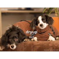 DryUp Trocken Cape Hundebademantel MINI für kleine Hunde 35cm Brown-braun