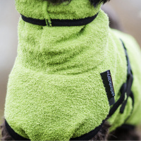 DryUp Trocken Cape Hundebademantel MINI für kleine Hunde 35cm Kiwi-grün
