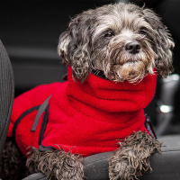 DryUp Trocken Cape Hundebademantel MINI für kleine Hunde 40cm Red Pepper-rot