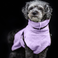 DryUp Trocken Cape Hundebademantel MINI für kleine Hunde 45cm Lavendel