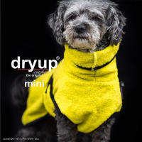 DryUp Trocken Cape Hundebademantel MINI für kleine Hunde 30cm Lime-lemon