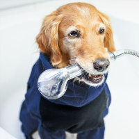 DryUp Body ZIP.FIT Hundebademantel mit Beinen STANDARD Marine-blau L 65cm