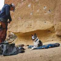 Ruffwar Basecamp™ Faltbares Hundebett Neues Design