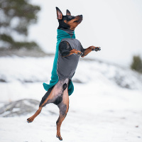 Pomppa Jumppa Fleece Pullover JumppaPomppa Forest 40