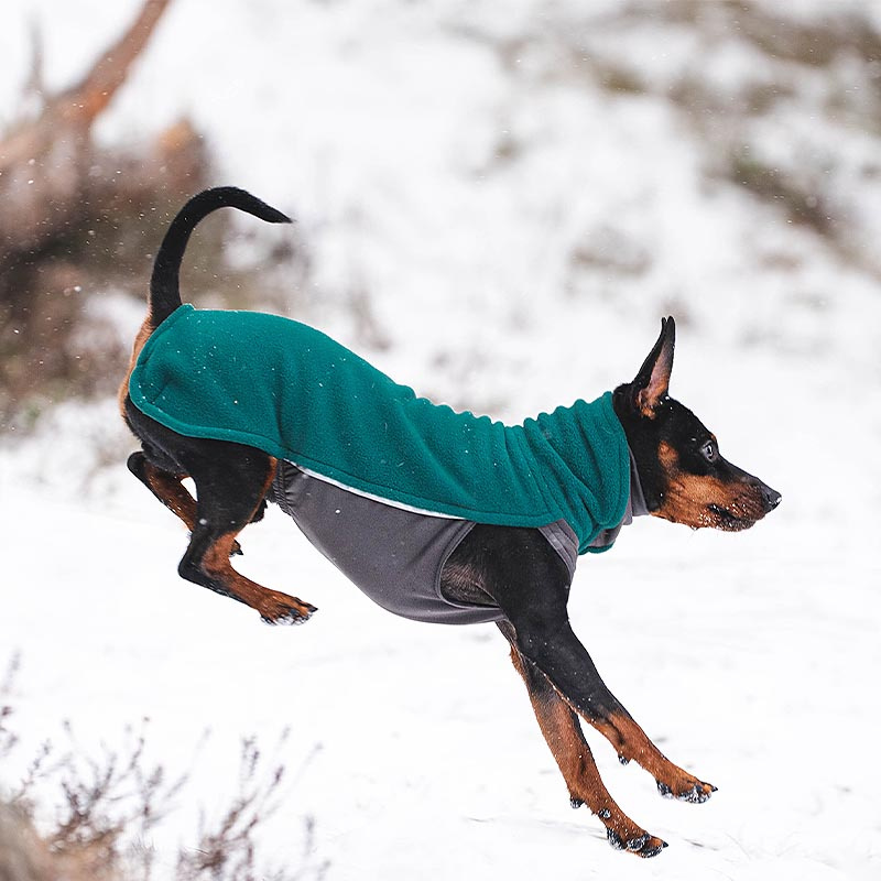 Pomppa Jumppa Fleece Pullover JumppaPomppa Forest 44