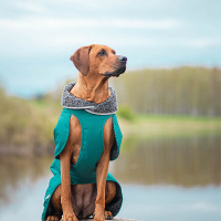Pomppa Perus Allwetter-Mantel Wintermantel mit Geschirröffnung NEUE Ausführung Trail 25