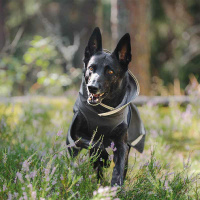 Pomppa Kevyt gefütterter Regenmantel mit Geschirröffnung NEUE Ausführung Graphite 60