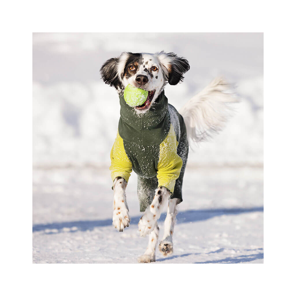 LovinPet Hunde-Pyjama Hawaii-Design Größe XL – Weicher Einteiler Aus Baumwolle Für Große Rassen Wie Pitbull, Labrador & Schäferhund