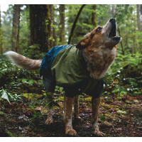 Ruffwear Sun Shower Regenmantel Coverall