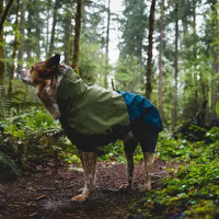 Ruffwear Sun Shower Regenmantel Coverall Midnight Blue XXS