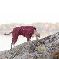 Rukka Pets Wintermantel mit Beinen Thermal Overall