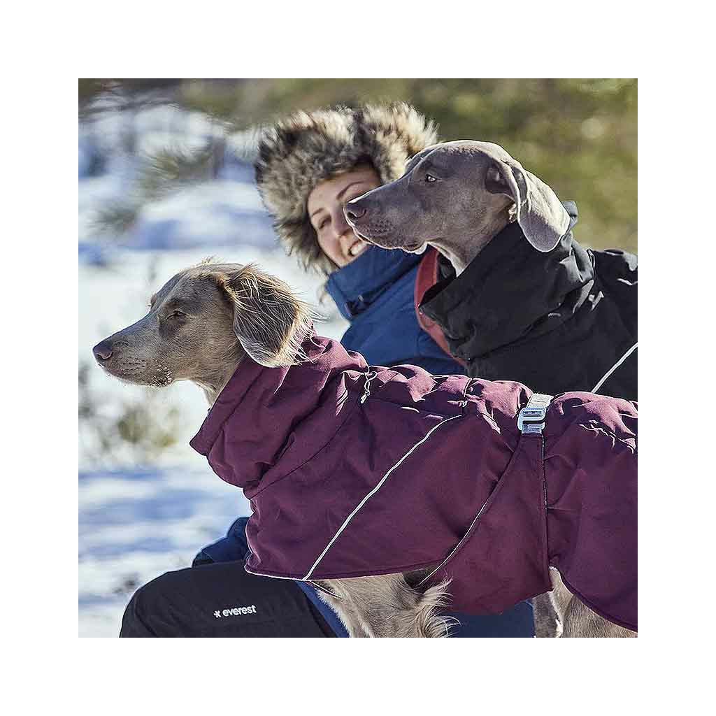 Hurtta Extreme Warmer – Hundemantel Rot Größe 40, Mit Wärmereflektierendem Futter Für Kalte Tage