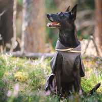 Pomppa Kevyt gefütterter Regenmantel mit Geschirröffnung NEUE Ausführung Plum lila 48