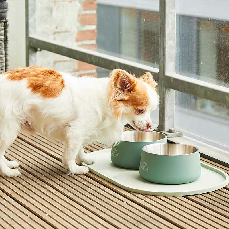 Dog Copenhagen Libra Placemat Napfunterlage Racing Green oliv M